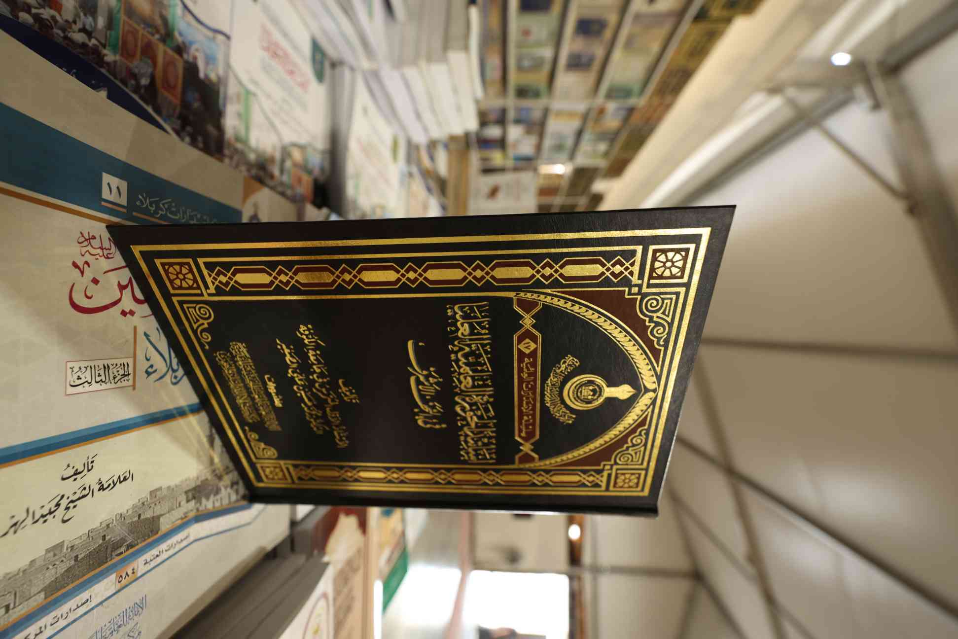 صورة إضافية