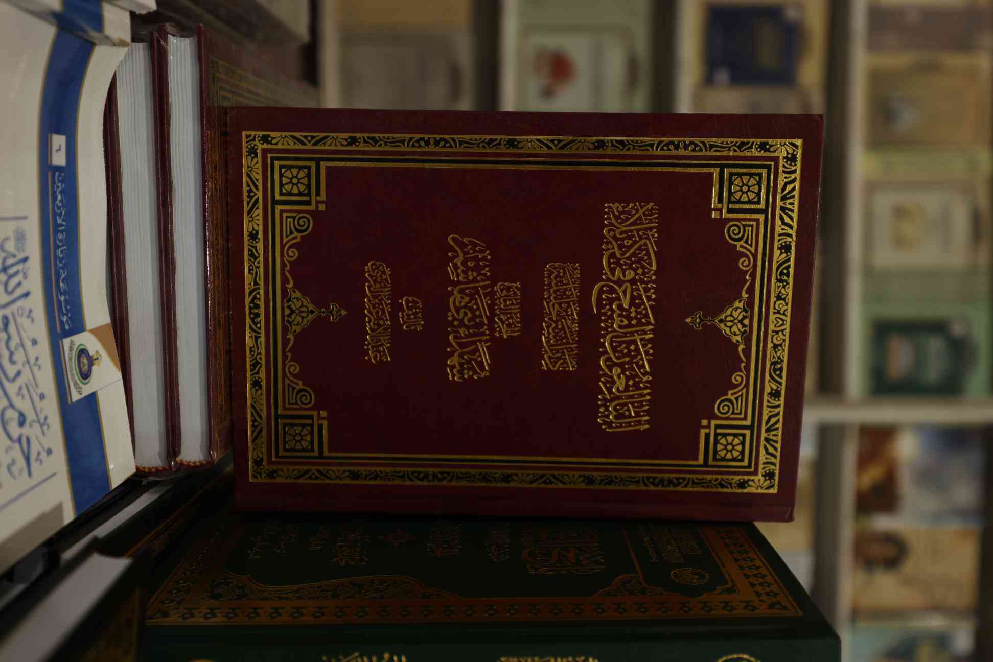 صورة إضافية