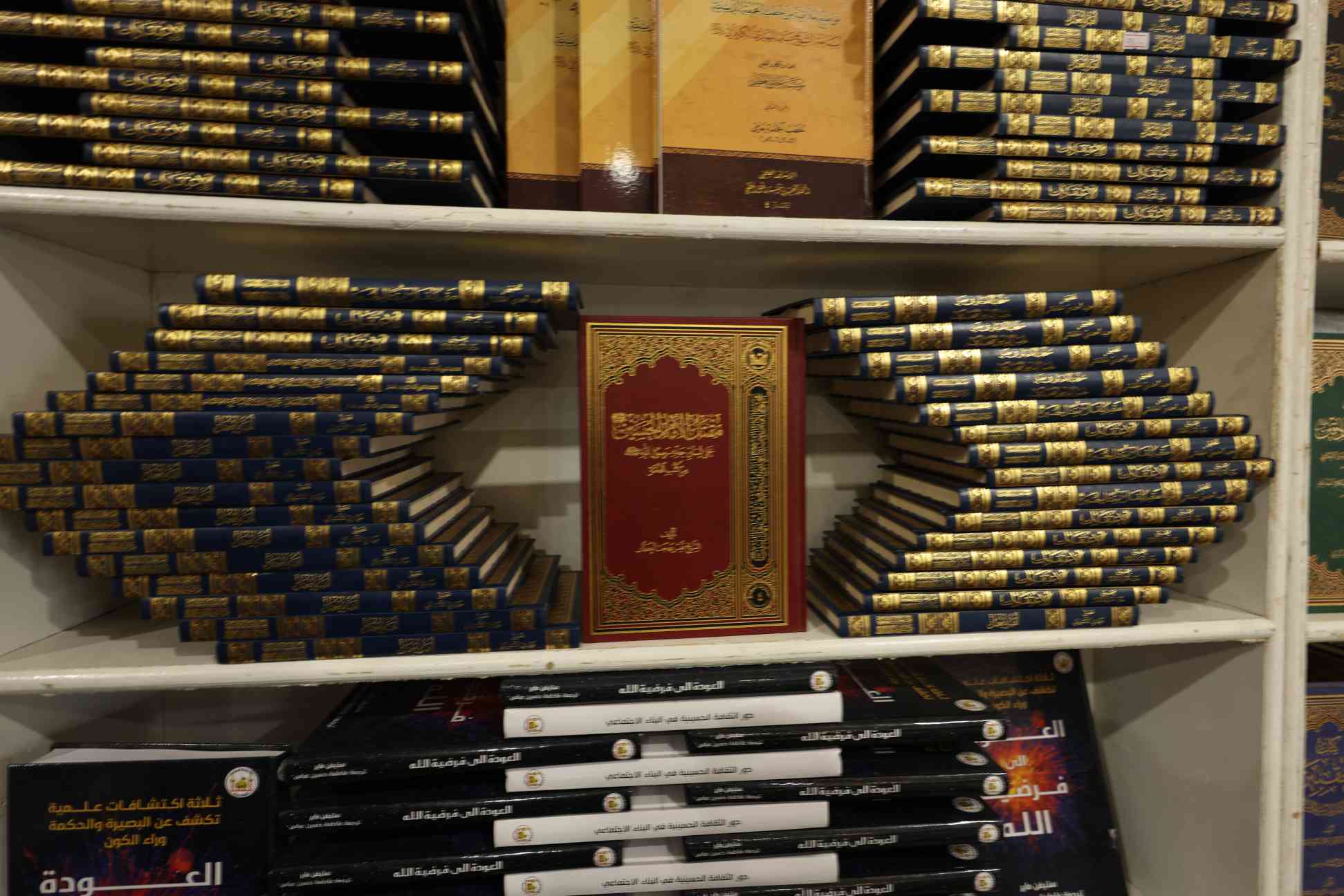 صورة إضافية