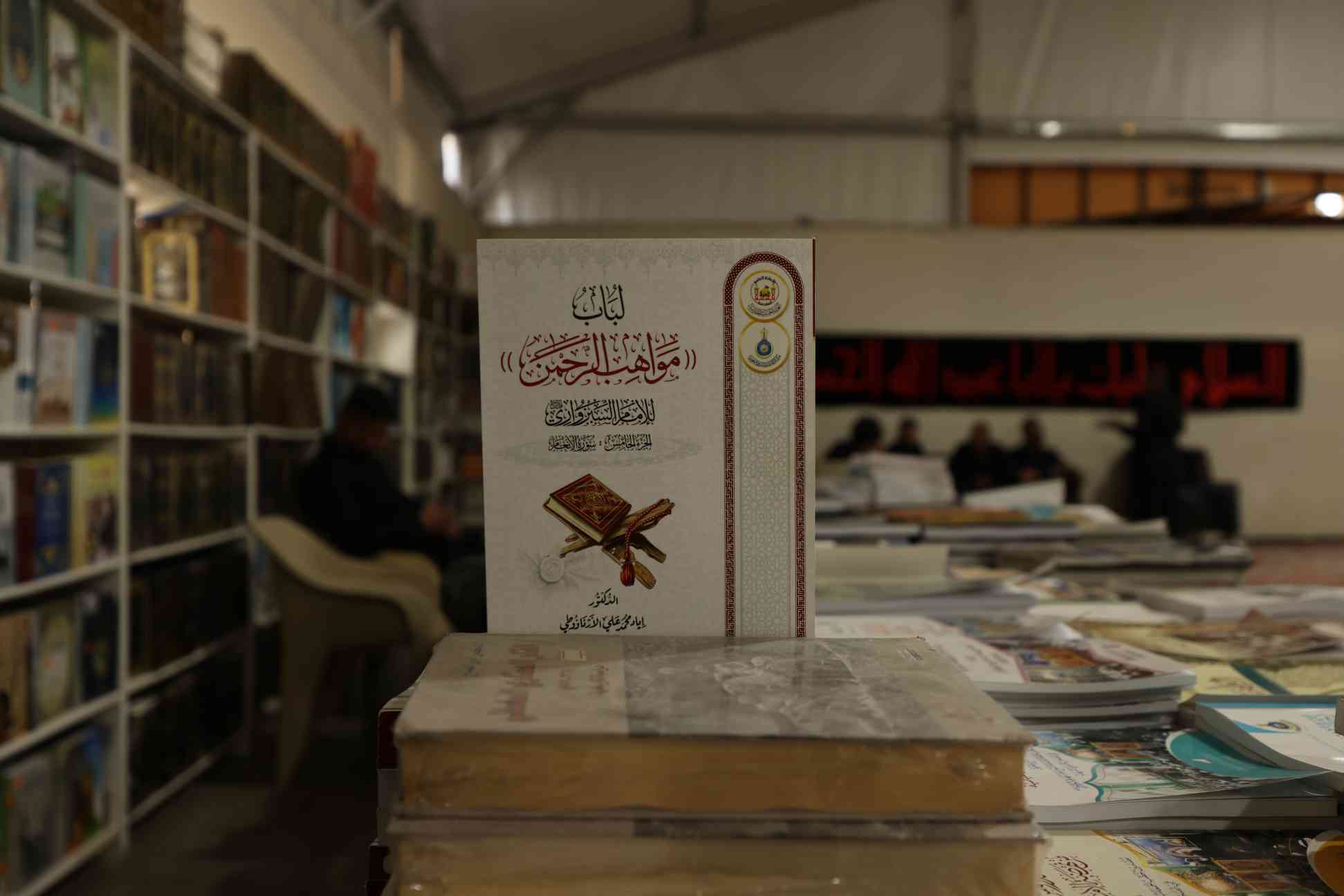 صورة إضافية