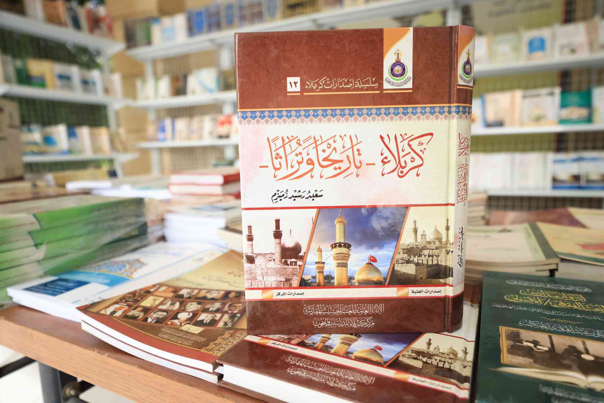 صورة إضافية