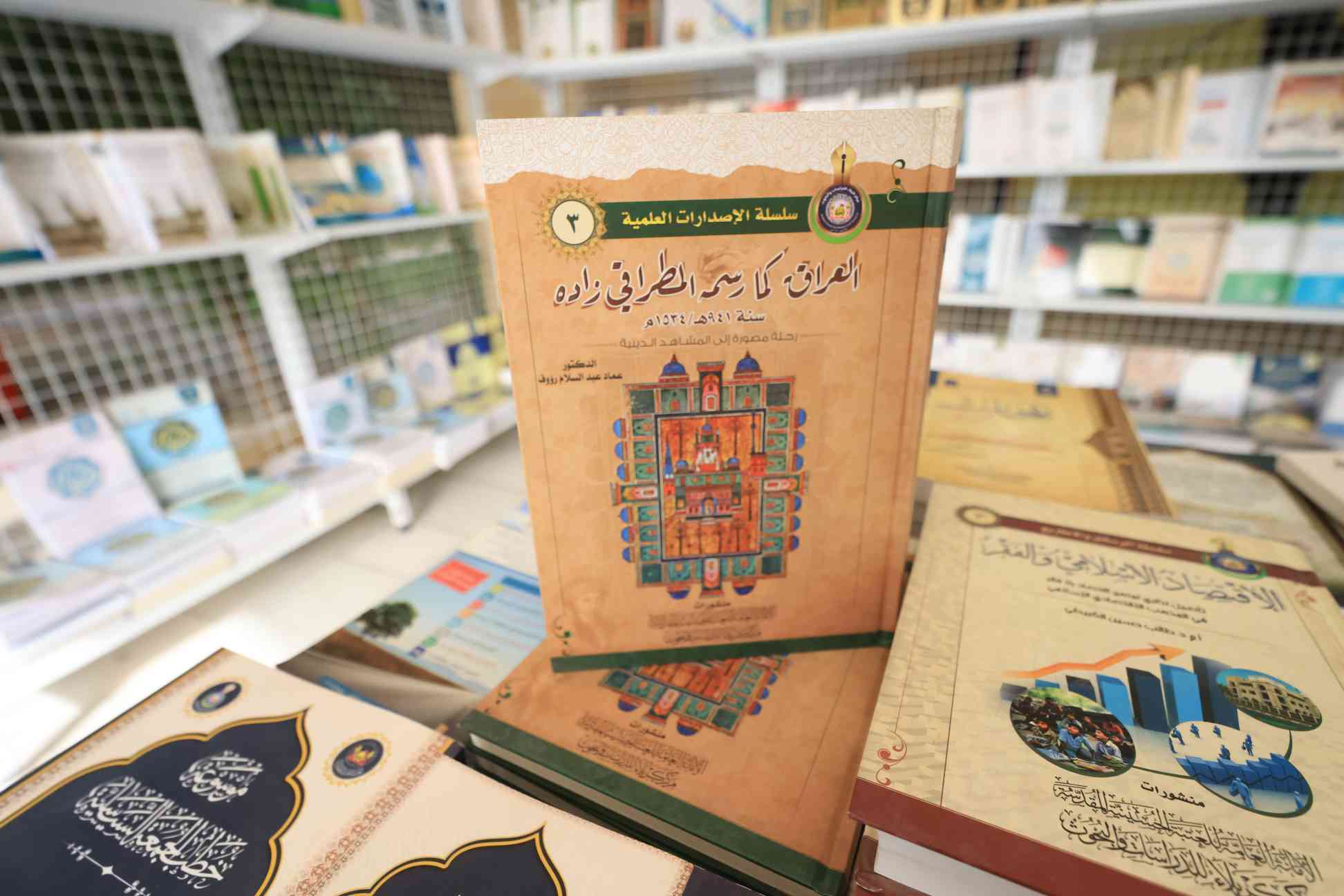 صورة إضافية