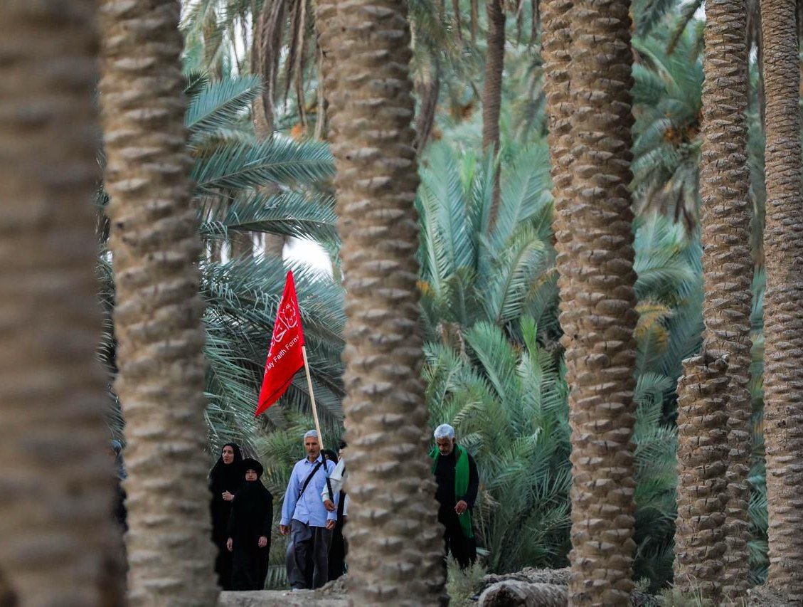 صورة إضافية