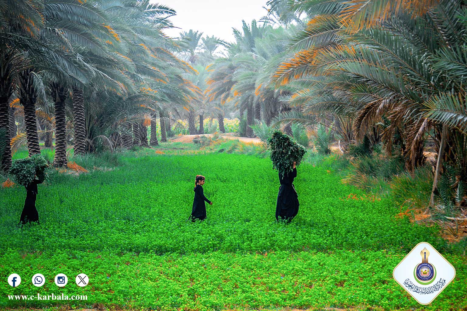 مدينة طويريج ودورها في تنمية الاقتصاد العراقي
