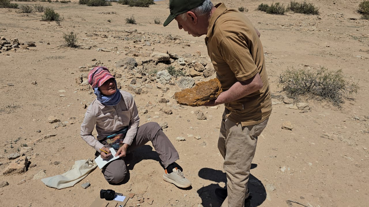 صورة إضافية