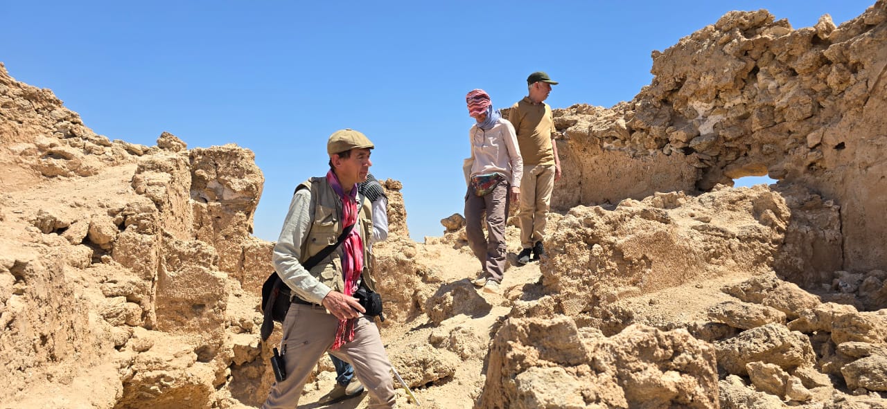 صورة إضافية