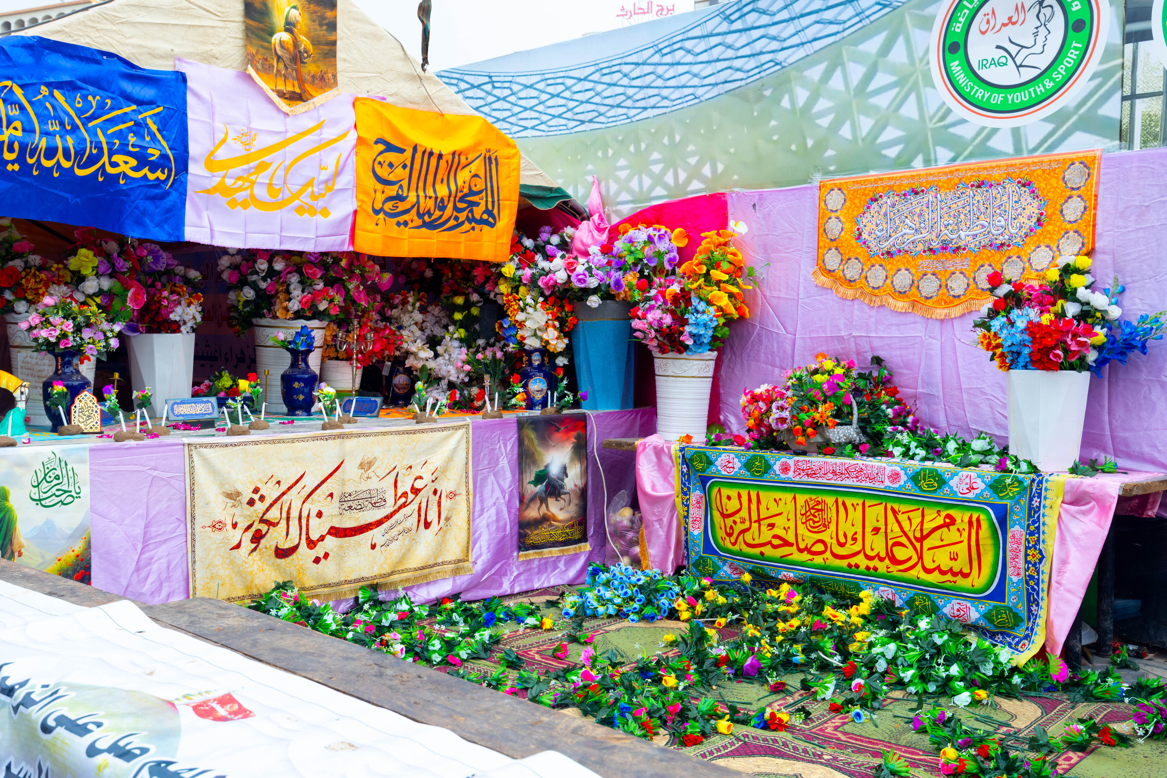 صورة إضافية